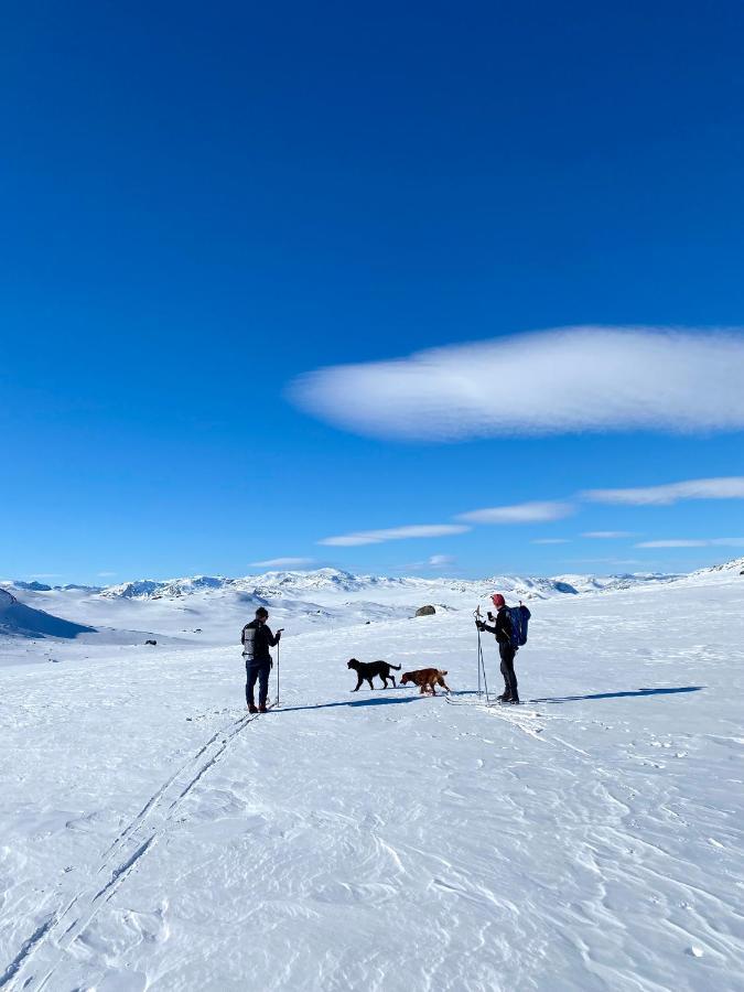 Hyggelig Leilighet I Sentrum Hemsedal Luaran gambar
