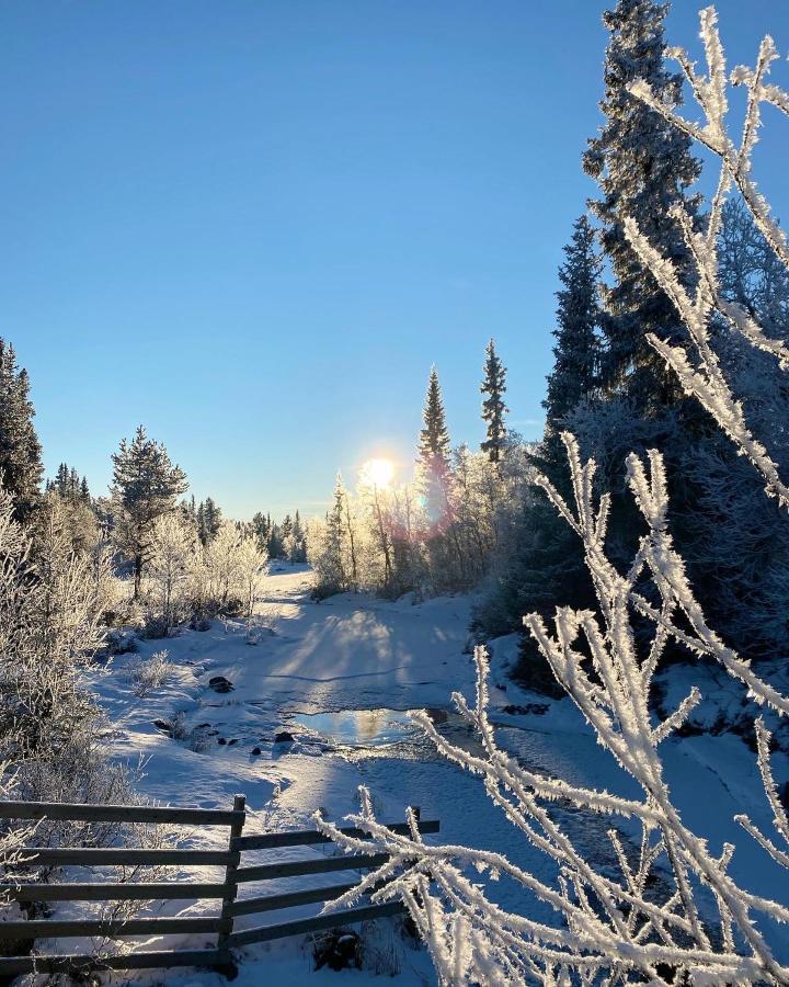 Hyggelig Leilighet I Sentrum Hemsedal Luaran gambar