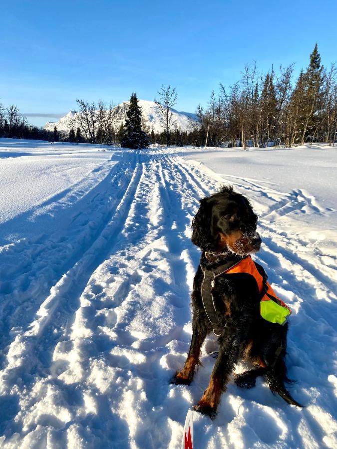 Hyggelig Leilighet I Sentrum Hemsedal Luaran gambar