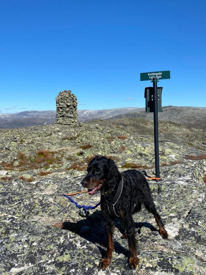 Hyggelig Leilighet I Sentrum Hemsedal Luaran gambar