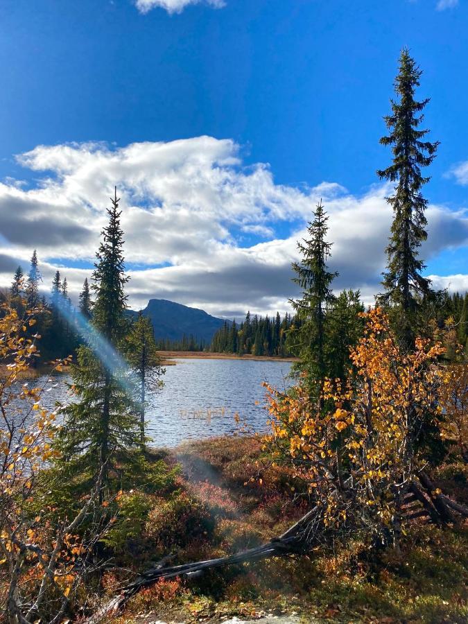 Hyggelig Leilighet I Sentrum Hemsedal Luaran gambar