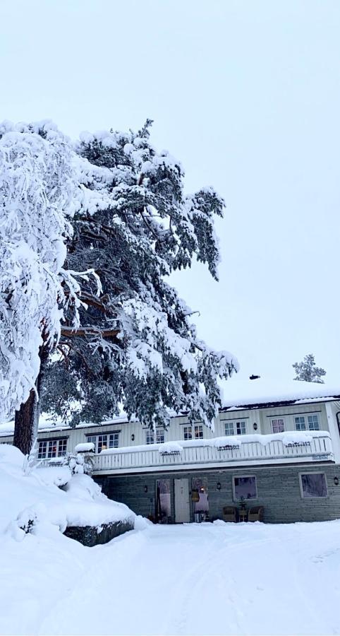 Hyggelig Leilighet I Sentrum Hemsedal Luaran gambar