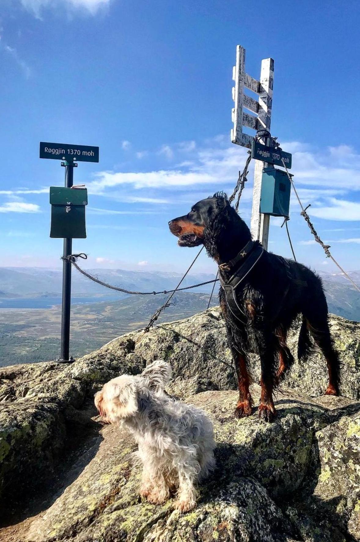 Hyggelig Leilighet I Sentrum Hemsedal Luaran gambar